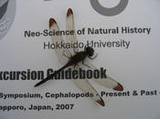 gragonfly on the excursion guidebook