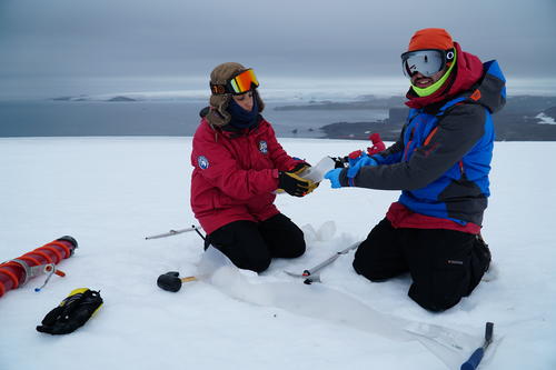 Lucía Hortal und Pablo L. Finkel sammeln Proben auf dem Collins-Gletscher. Credits: Maryse Napoleoni.