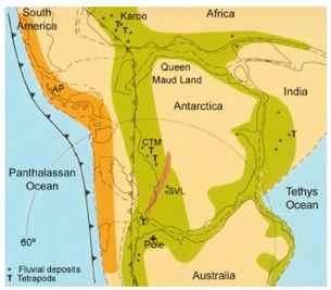 Shows principal basins on Gondwana and locations for fluvial deposits and their relations with the Tetrapodos migration.