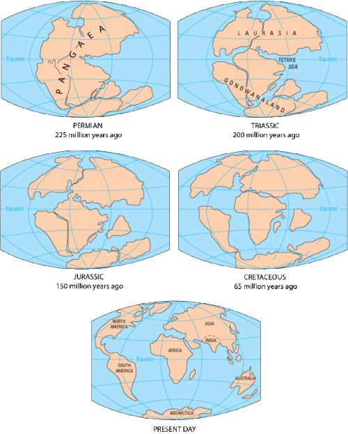Breakup of the supercontinent Pangaea, a prominent figure in the theory of continental drift, the forerunner to the theory of plate tectonics
