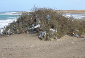 Waste at a beach in southern Egypt