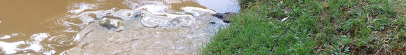 home_water