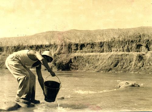 Draw drinking water in the river (Livni 1947)