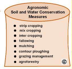 Examples for agronomic measures