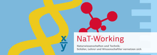 NaT-Working_Logo
