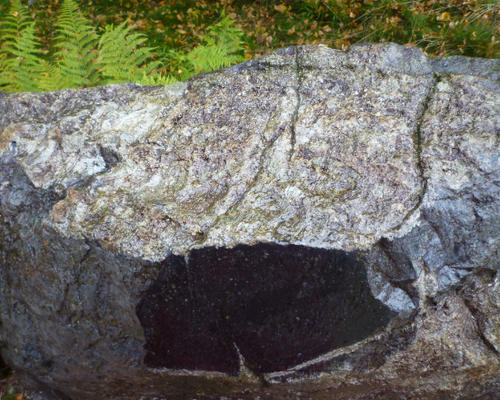 Serpentinite (dark) in a gneiss