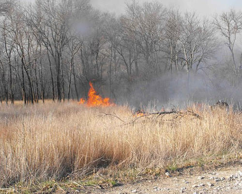 Agricultural fire