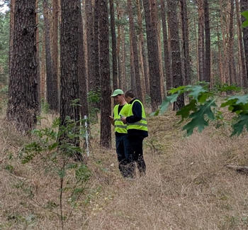 Installation of a sensor device in the site (photo: Marion Stellmes).