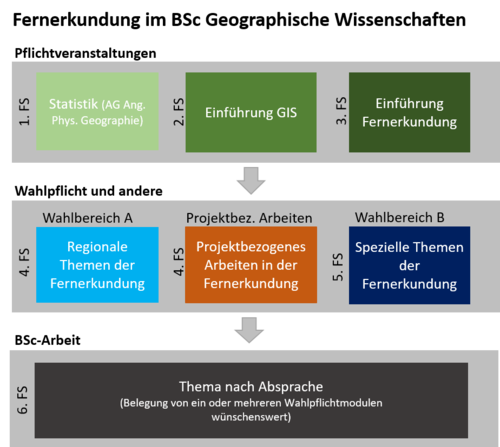 Module im Studienverlauf