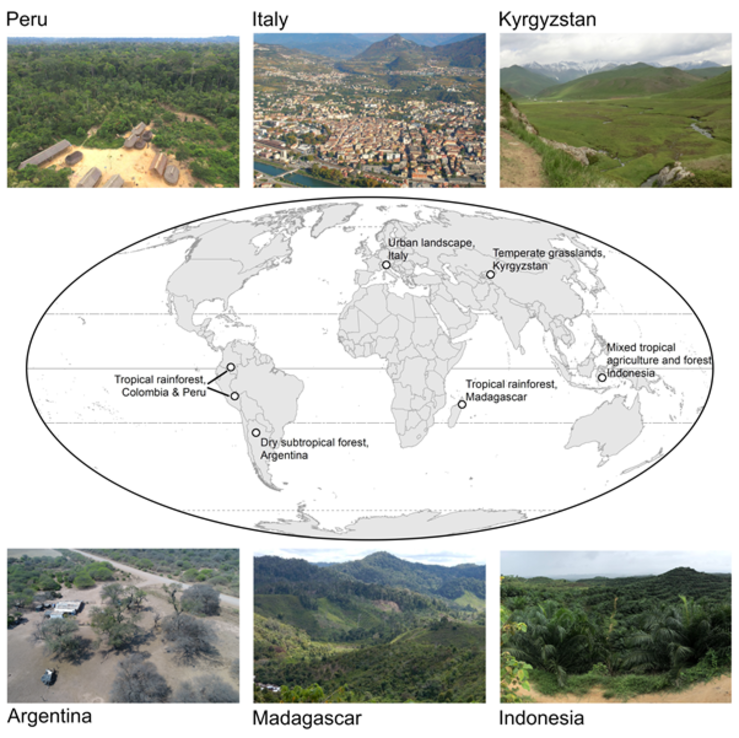 perspective landscape ecology