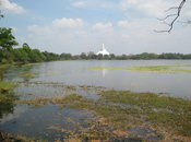 Basawakkulama Wewa with the Ruwanweliseya Dagoba in the backround