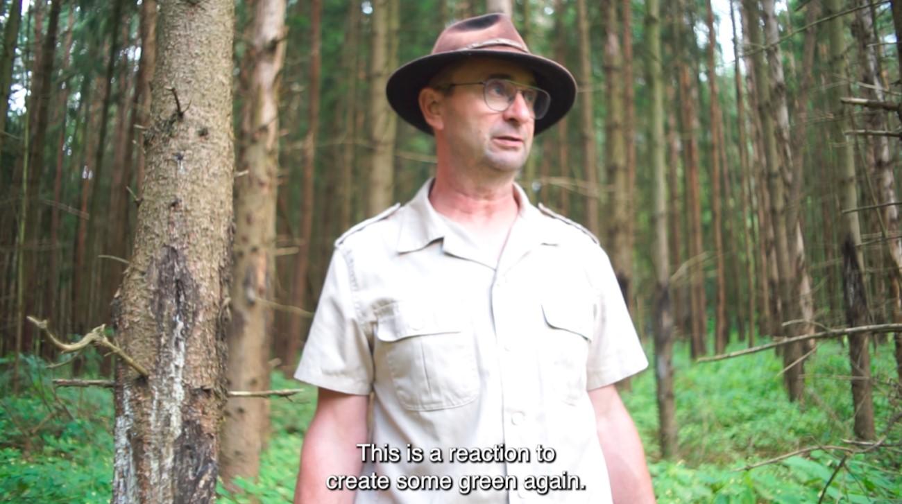 A still from the forest project video. Source: Alice Appel-Rorke, Elena Bettenhäuser 2024.