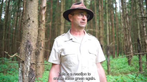 A still from the forest project video. Source: Alice Appel-Rorke, Elena Bettenhäuser 2024.