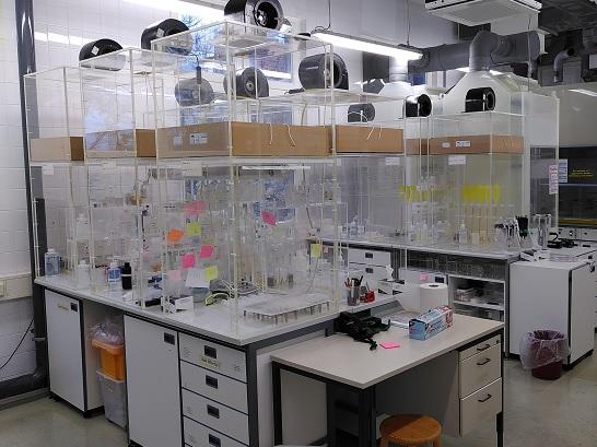 lab409x546