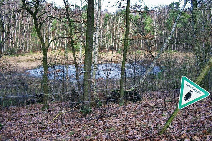 Der Pechsee im Jahr 2007