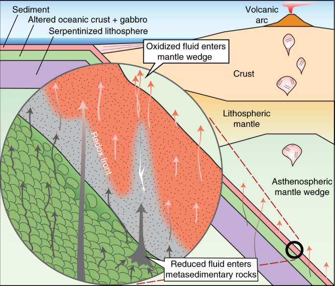 Fig. 5: Schematic illustration of the metasedimentary oxidative filter model.