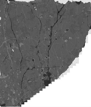 BSE image of a meteorite, created on our SEM