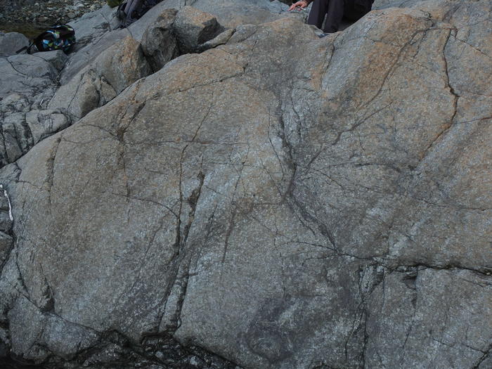 Meta-serpentinite with veins (darker, e.g. from center to upper right corner) that formed as a result of the dehydration at depth and served as fluid escape pathway