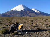 Geophysical Measurements