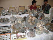 Sapporo fossil show