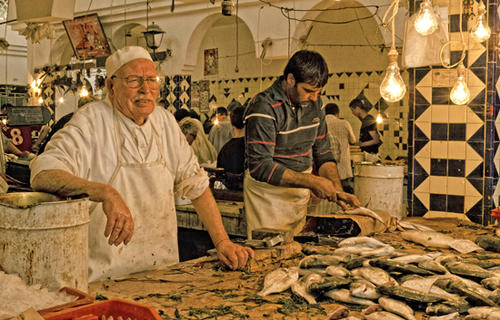 Oktober © Steffen Klix - Fischmarkt in Tunesien - Gemäß der Systematik  sind Fische als diejenigen Kiefermäuler (Gnathostomata) definiert, die nicht zu den Landwirbeltieren (Tetrapoda) gehören.