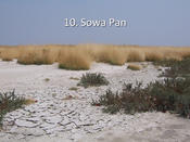 Sowa Pan