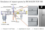 Simulation of Impact Spectra