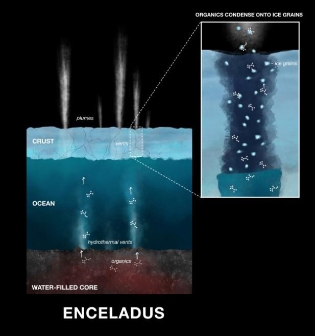 This illustration shows organic compounds making their way onto ice grains emitted in plumes from Saturn's moon Enceladus, where they were detected by the Cassini spacecraft.