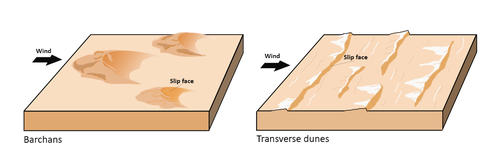 Scheme for the formation of dune types in the Moreux Crater