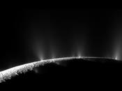 Enceladus' Plumes