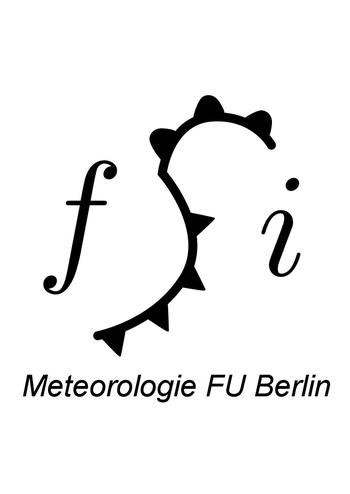 FSI Logo