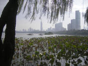 Huanwu Lake, Nanjing