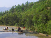 Rice farming, Sichuan Province