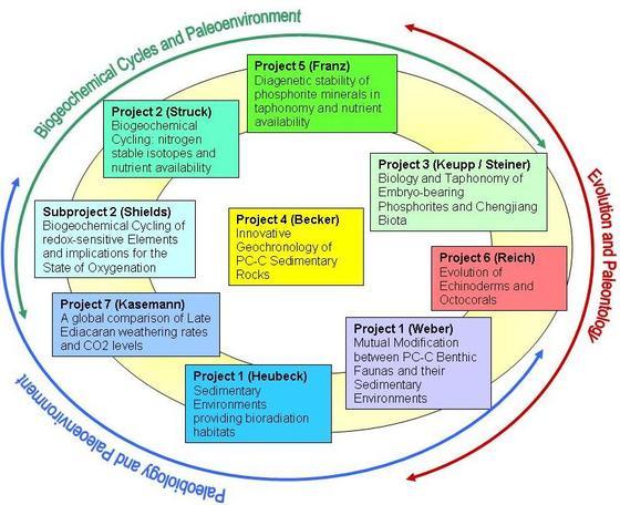 Synergies between the subprojects.