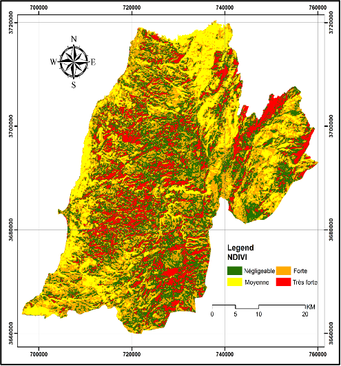 Generated NDVI for the studied region