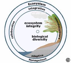 Ecosystem management • GeoLearning • Department of Earth Sciences