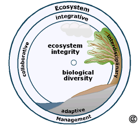 Ecosystem Management