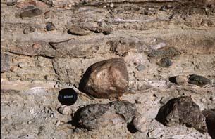Waick tillite, Brazil (Permian-Carboniferous glaciation)