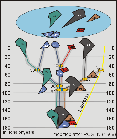 The Gondwana puzzle and timing of separation