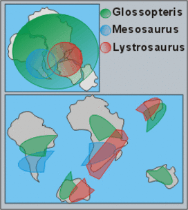 Distribution of Glossopteris, Mesosaurus and Lystrosaurus  on Gondwana