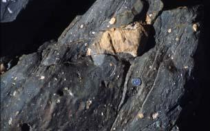 Dwyka tillite, Karoo Basin South Africa (Permian-Carboniferous glaciation)