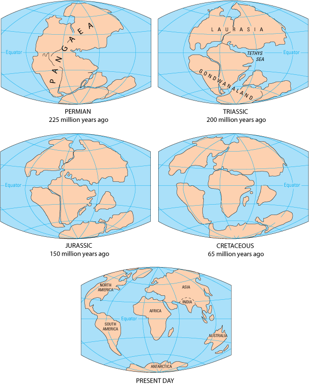 Breakup of the supercontinent Pangaea, a prominent figure in the theory of continental drift, the forerunner to the theory of plate tectonics