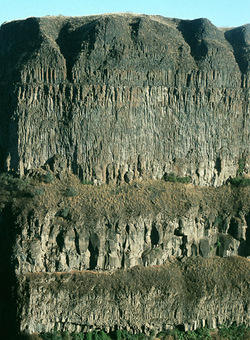 Basalt columns of the Columbia River Basalt Group, USA