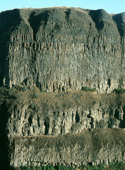  	Basalt columns of the Columbia River Basalt Group, USA