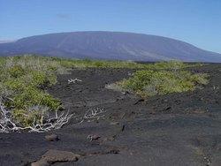 El Cumbre Shield Volcano (Fernandina Island, Galapagos, Ecuador