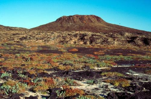 Sombrero Chino, Santiago Island