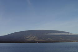 Alcedo Shield Volcano (Isabela, Galapagos, Ecuador)