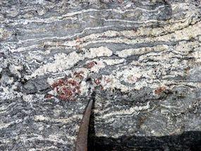 Migmatitic garnet - cordierite - sillimanite  metapelite from the high-grade metamorphic Andean basement. Sierra de Quilmes, Salta - Tucumán. Argentina