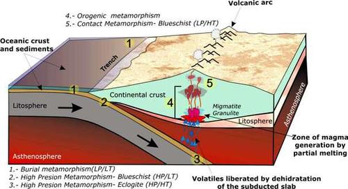  Development of a orogenic belt at an active continental margin