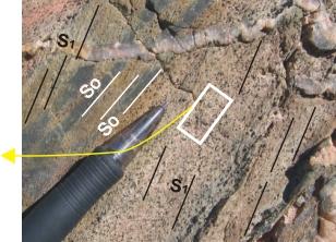  Close-up photograph of phyllite and slate with chlorite spots